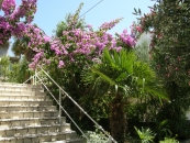 Apartmani Španjol galerija